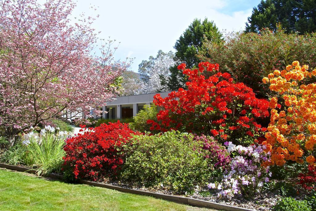 Grevillea Gardens Apartment 3 Bright Eksteriør bilde